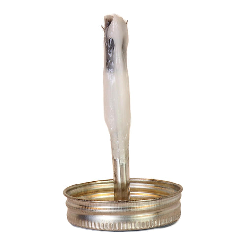 4LifetimeLines dielectric grease can showing brush-top lid on white background