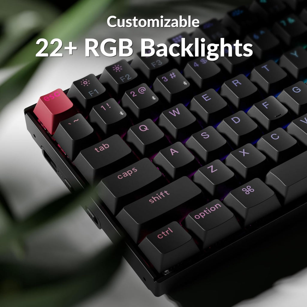 Close-up of Keychron K2 V3 black PBT keycaps showing per-key RGB backlighting in blue and purple tones with red Escape keycap, with text reading Customizable 22+ RGB Backlights