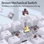 Brown switch internals (spring, stem, housing) visible
