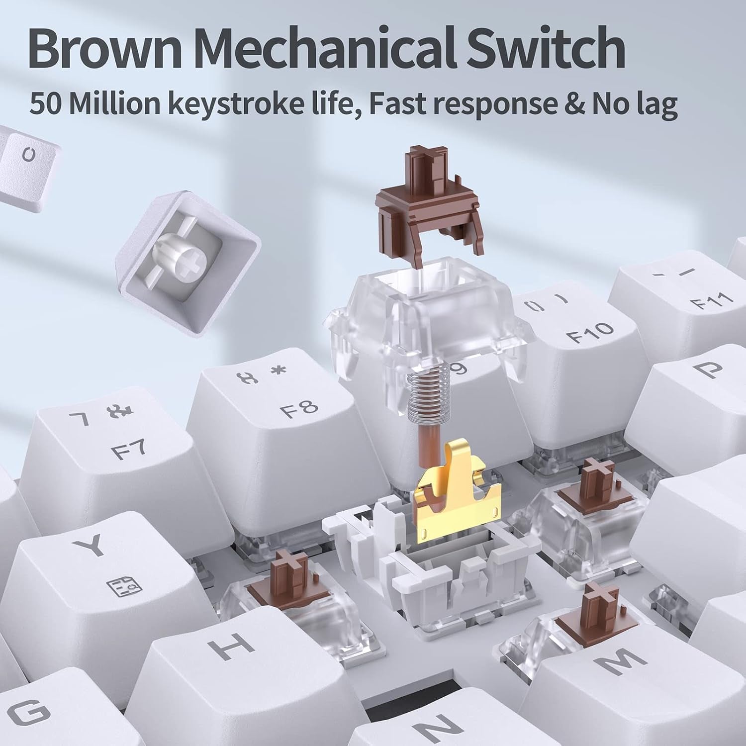 Brown switch internals (spring, stem, housing) visible