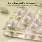 Close-up of transparent factory pre-lubed tactile mechanical switches mounted on a clear switch tray, showing white stems and crystal housings