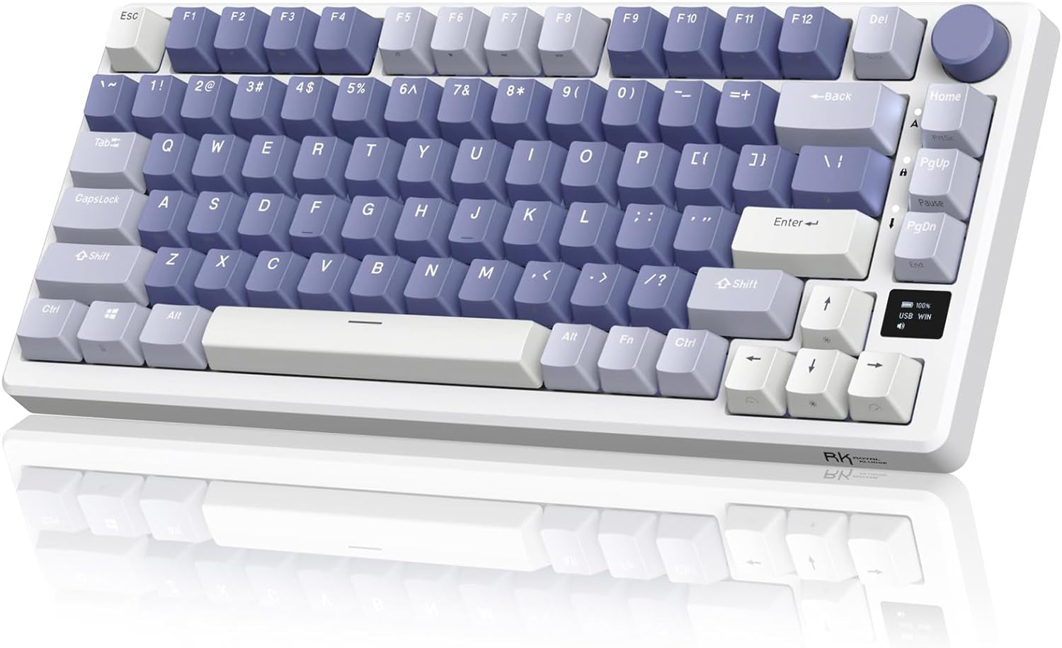 RK M75 75% mechanical keyboard in Ocean Blue colorway with blue and gray gradient PBT keycaps, white case, purple volume knob, and OLED status display, front angle view on white surface