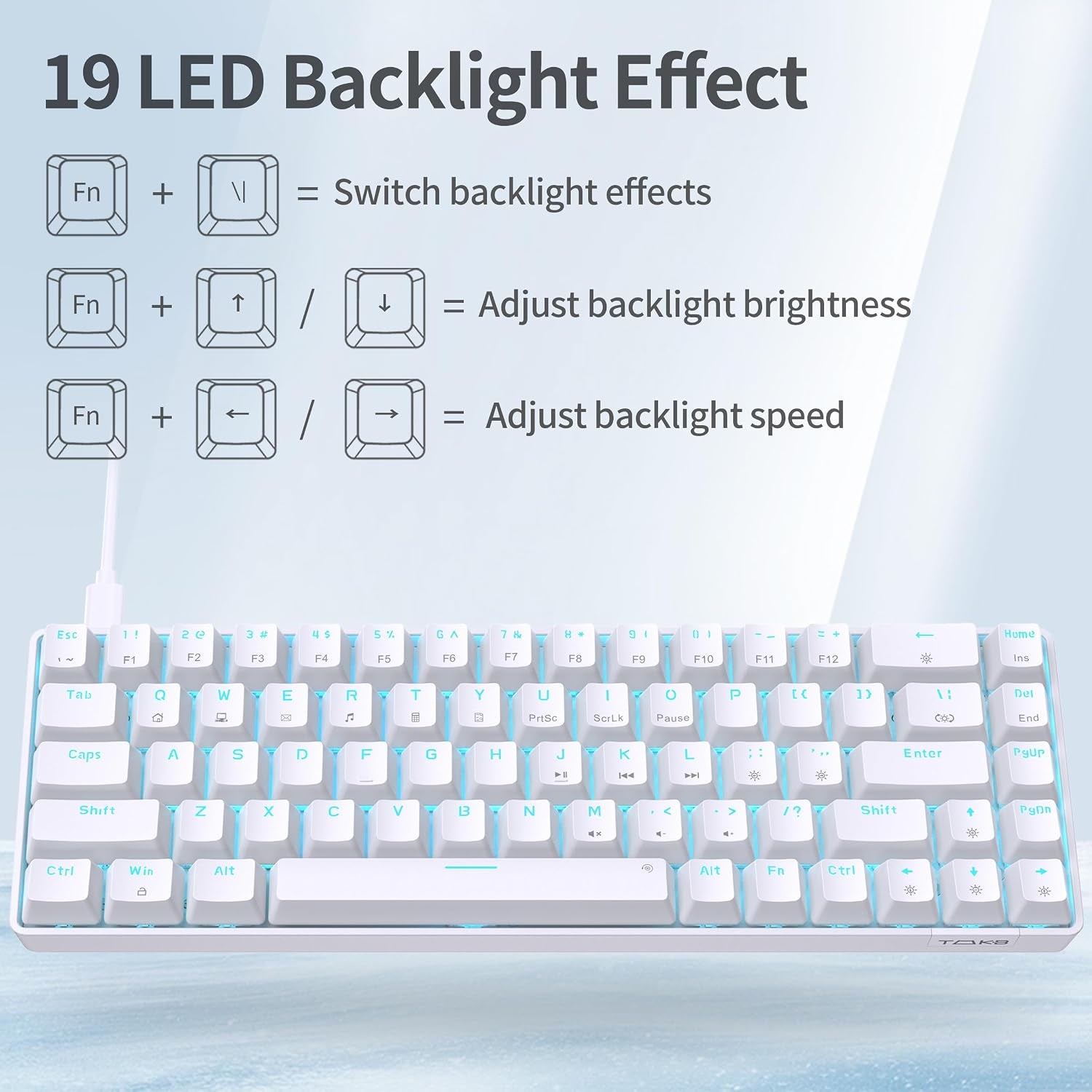 19 LED modes with Fn shortcut key diagram
