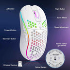 White honeycomb shell wireless gaming mouse with rainbow RGB lighting on a dark blue and purple background, with six white dashed callout lines identifying each button: Left Button, Right Button, Scroll Wheel, Speed Adjustment, Forward Button, Backward Button, plus a white USB nano receiver labeled "Wireless Receiver" and a circular close-up of the mouse underside labeled "Optical Sensor" showing the AVMTON brand name, USB receiver slot, power switch, and light switch